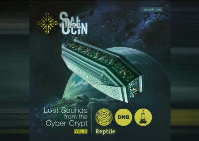Reptile-DNB--SalOcin